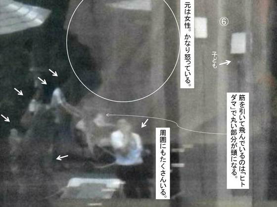 イメージ 6