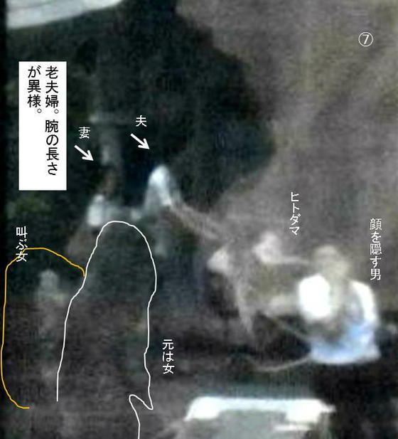 イメージ 7