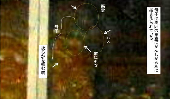 イメージ 3
