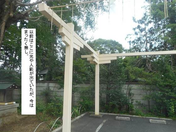 イメージ 8