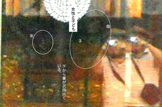 イメージ 3