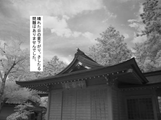 イメージ 5