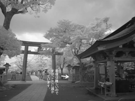 イメージ 2