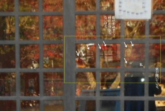 イメージ 8