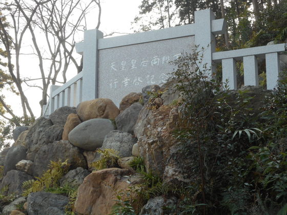 イメージ 6