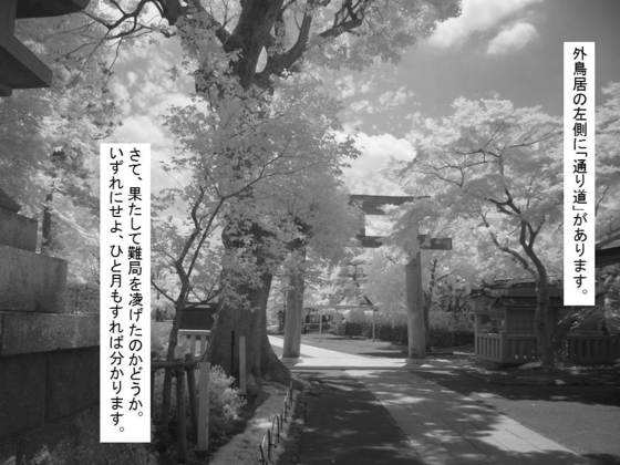 イメージ 8