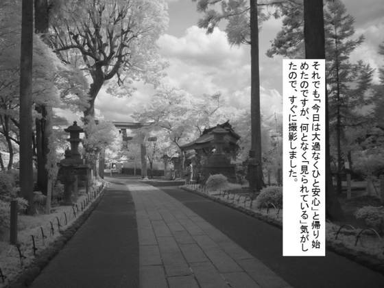 イメージ 4