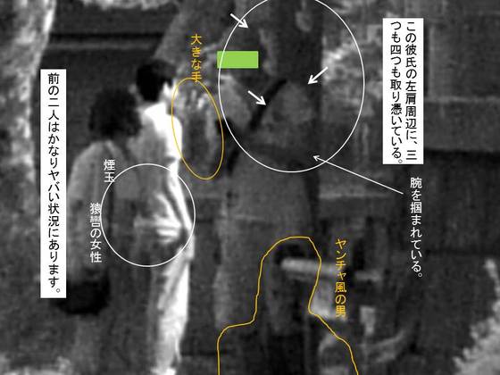 イメージ 7