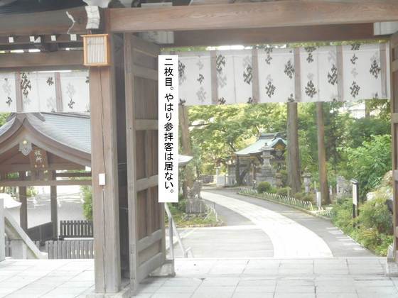 イメージ 5