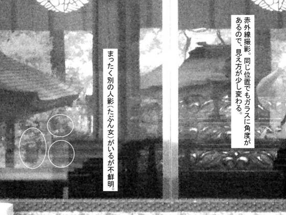 イメージ 8