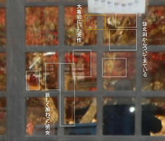イメージ 2