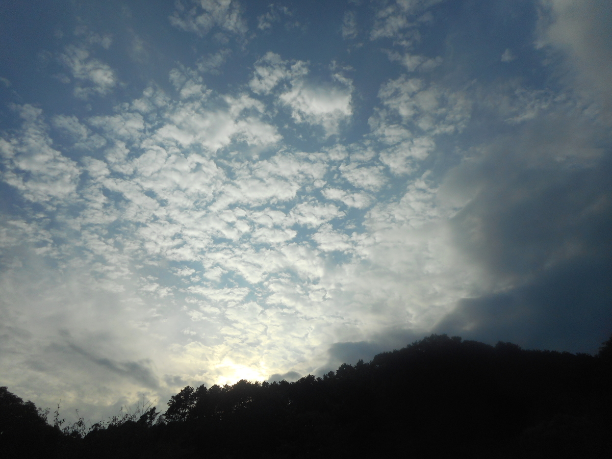 f:id:seiichiconan:20190921025653j:plain f:id:seiichiconan:20190921025653j:plain