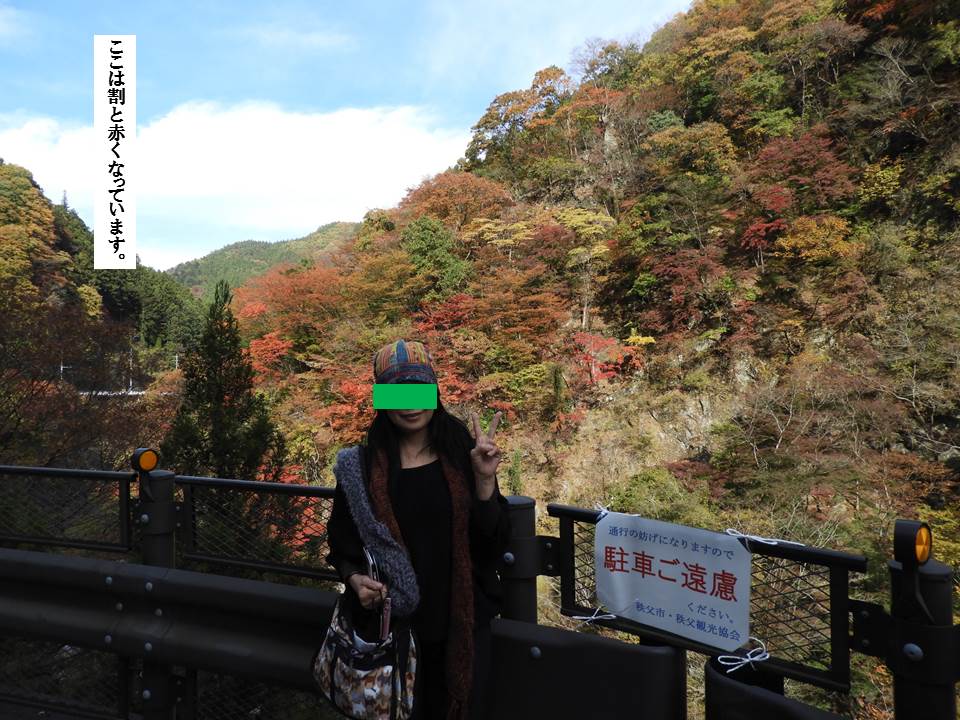 f:id:seiichiconan:20191119030206j:plain f:id:seiichiconan:20191119030206j:plain