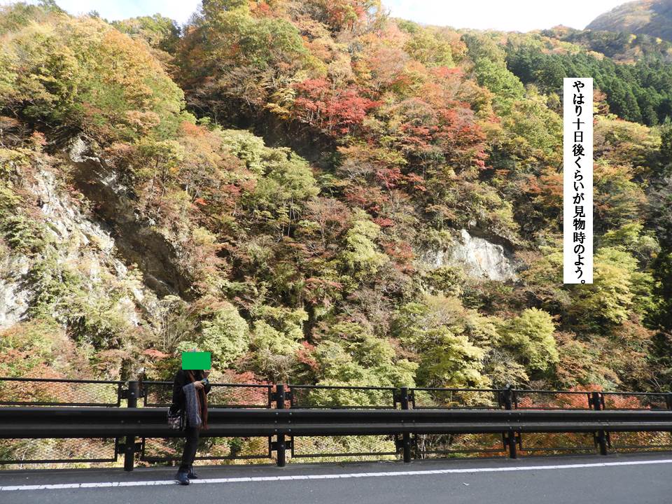 f:id:seiichiconan:20191119030228j:plain f:id:seiichiconan:20191119030228j:plain