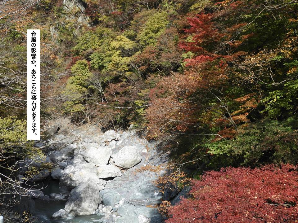 f:id:seiichiconan:20191119030317j:plain f:id:seiichiconan:20191119030317j:plain
