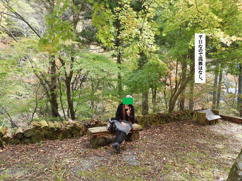 f:id:seiichiconan:20191119030350j:plain f:id:seiichiconan:20191119030350j:plain