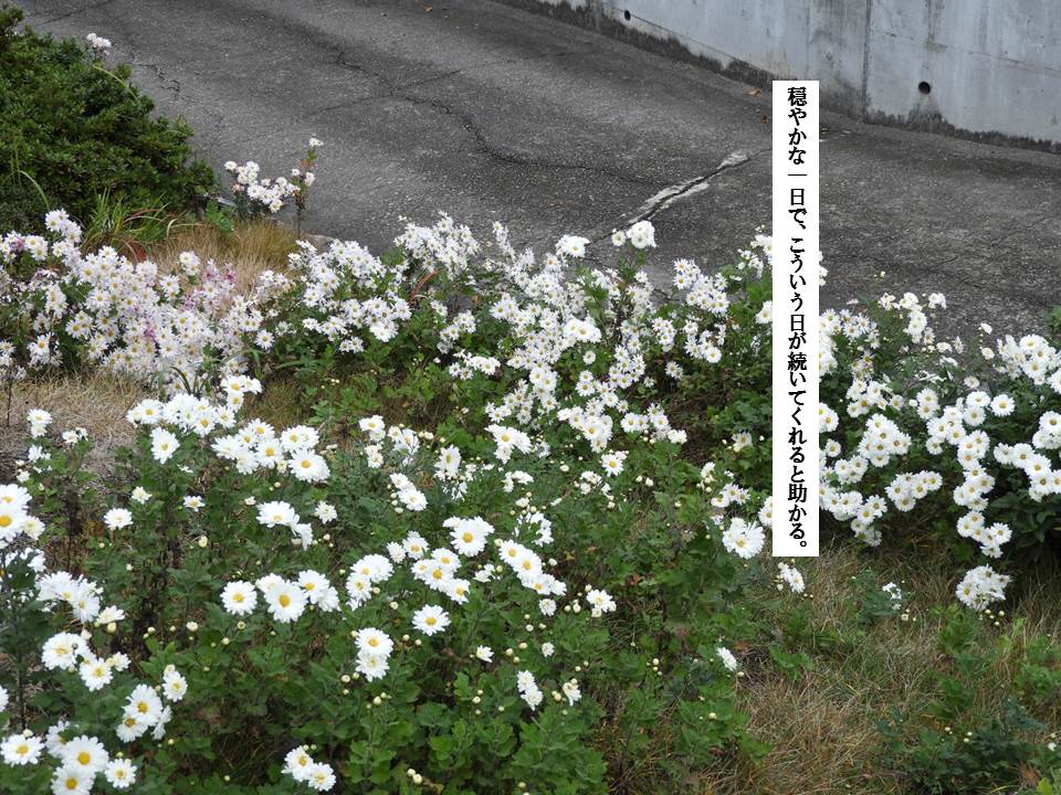 f:id:seiichiconan:20191127203626j:plain f:id:seiichiconan:20191127203626j:plain