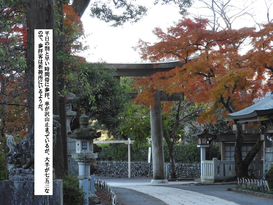 f:id:seiichiconan:20191130060137j:plain f:id:seiichiconan:20191130060137j:plain