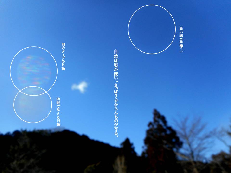 f:id:seiichiconan:20200207053125j:plain f:id:seiichiconan:20200207053125j:plain