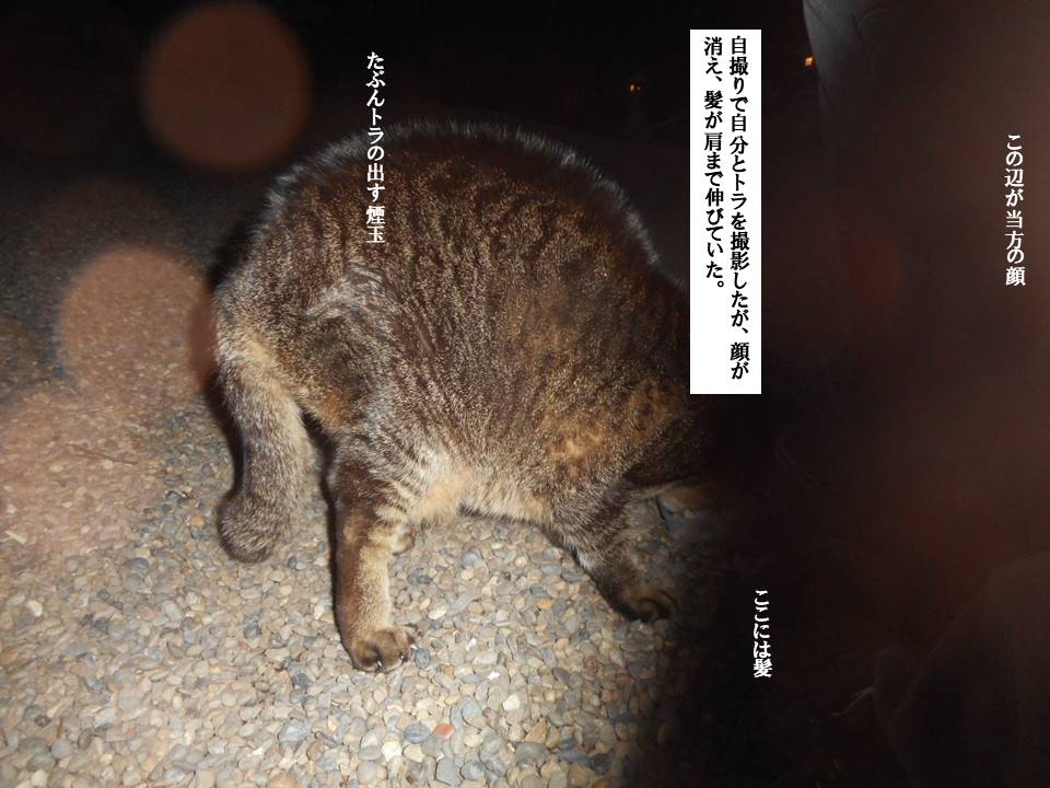 f:id:seiichiconan:20200217194344j:plain