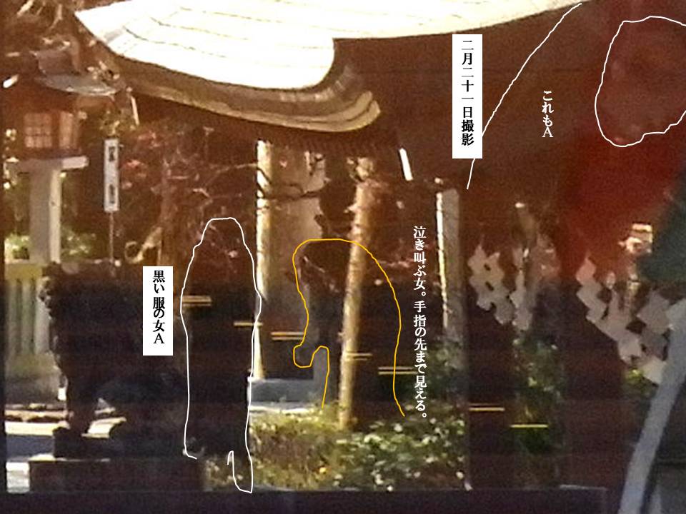 f:id:seiichiconan:20200224082010j:plain f:id:seiichiconan:20200224082010j:plain