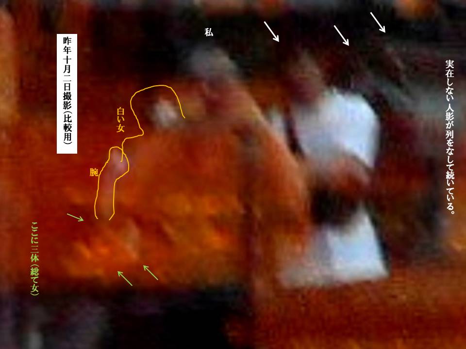 f:id:seiichiconan:20200301153745j:plain