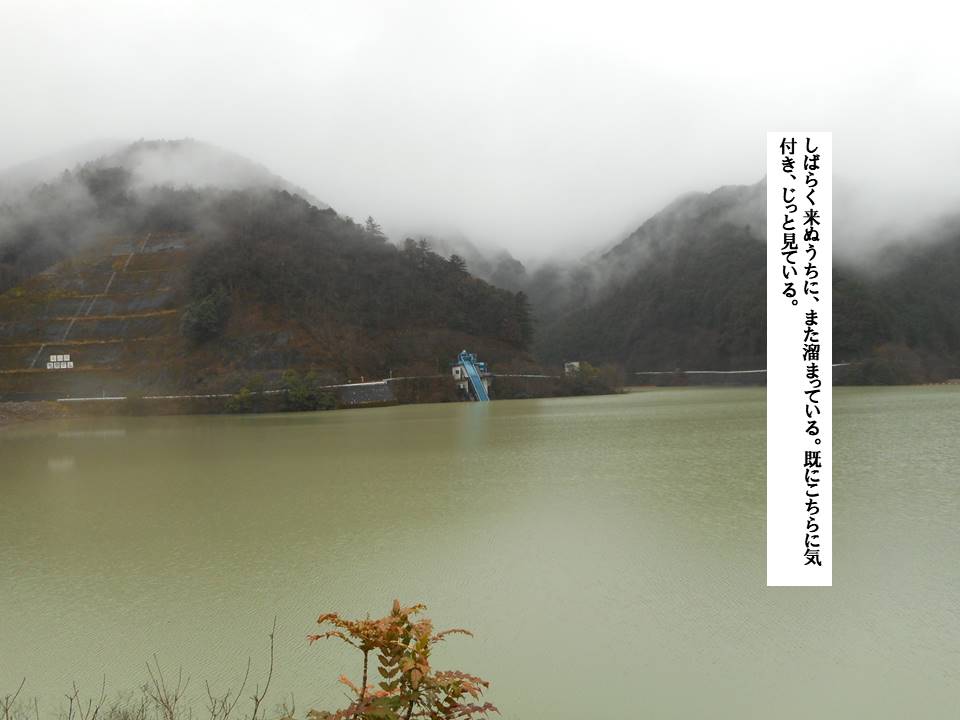 f:id:seiichiconan:20200303062341j:plain
