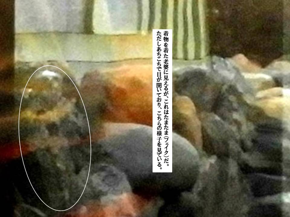 f:id:seiichiconan:20200305010513j:plain