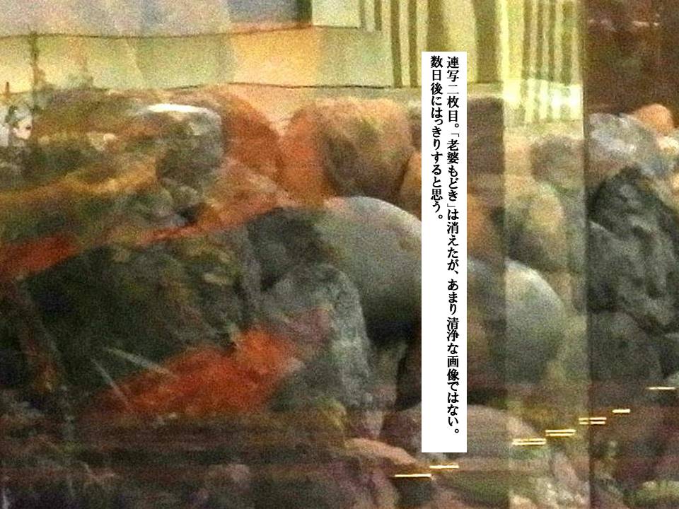 f:id:seiichiconan:20200305011738j:plain