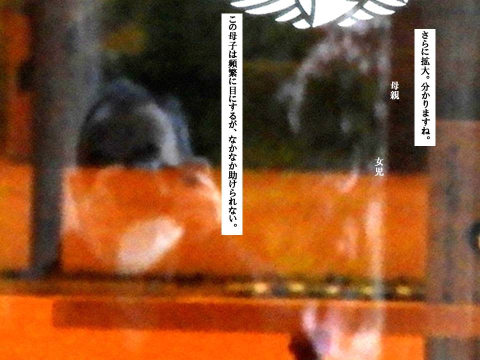 f:id:seiichiconan:20200307042804j:plain