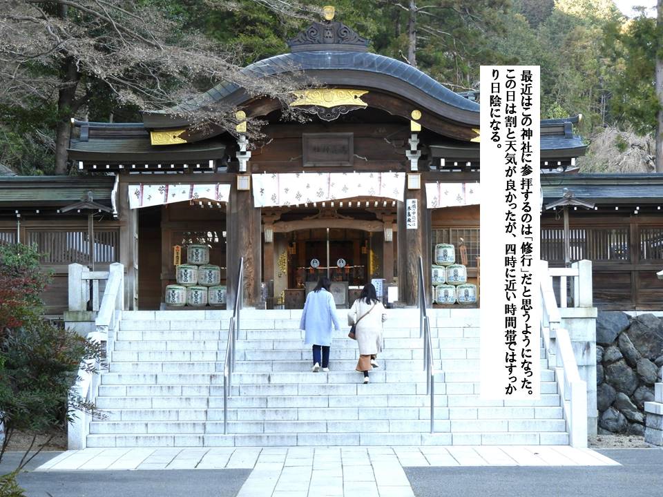 f:id:seiichiconan:20200307042846j:plain