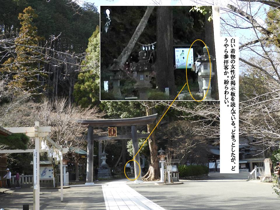 f:id:seiichiconan:20200312034544j:plain