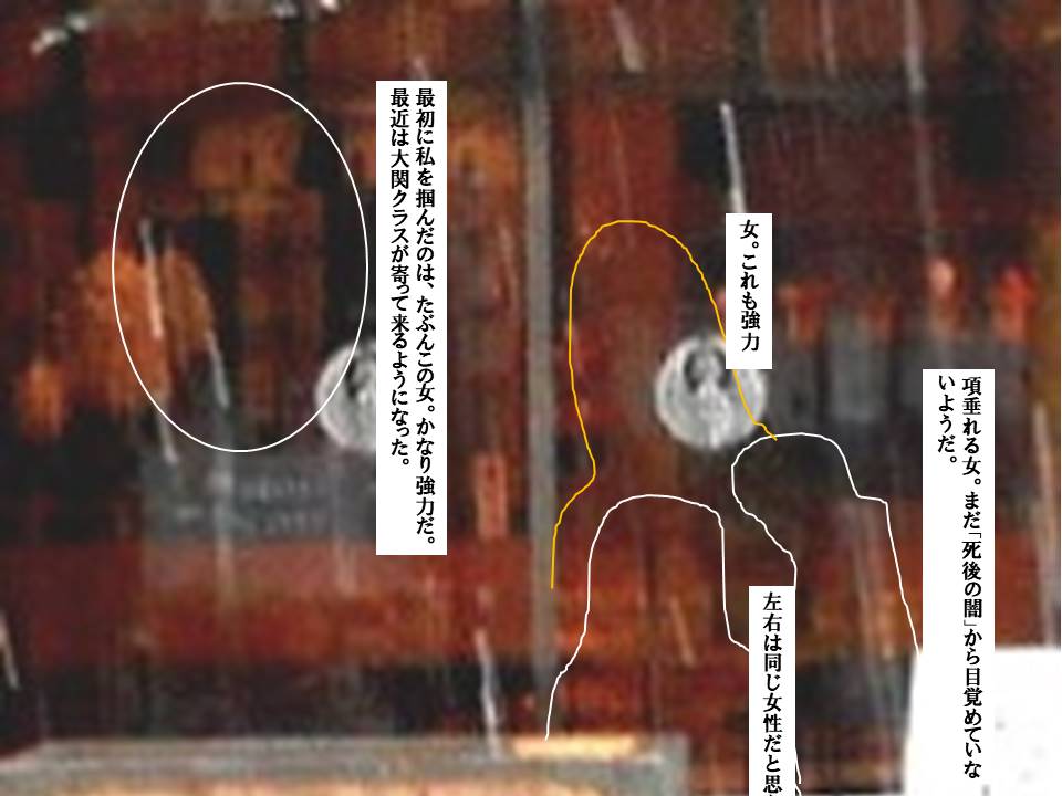 f:id:seiichiconan:20200314224156j:plain