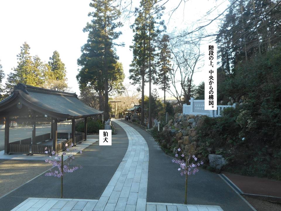 f:id:seiichiconan:20200319022703j:plain