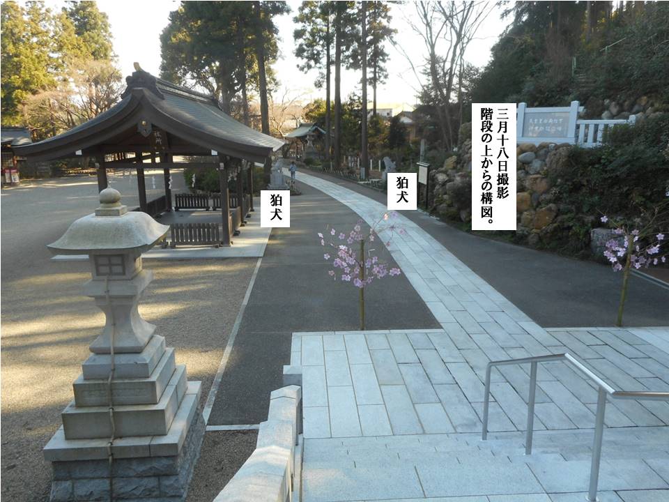 f:id:seiichiconan:20200319022716j:plain
