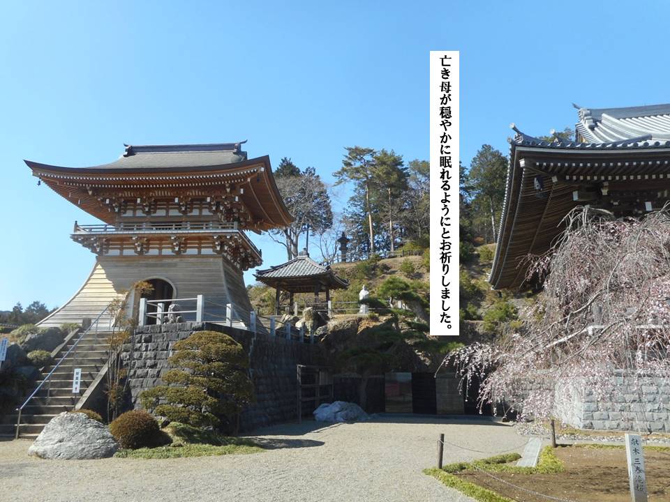 f:id:seiichiconan:20200321041218j:plain f:id:seiichiconan:20200321041218j:plain