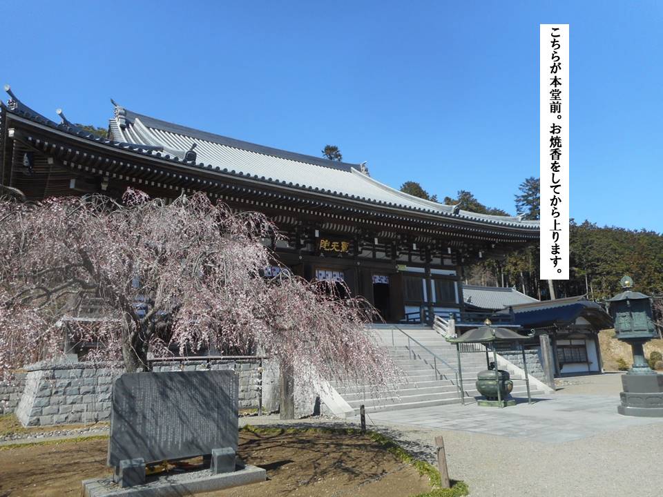 f:id:seiichiconan:20200321041231j:plain f:id:seiichiconan:20200321041231j:plain