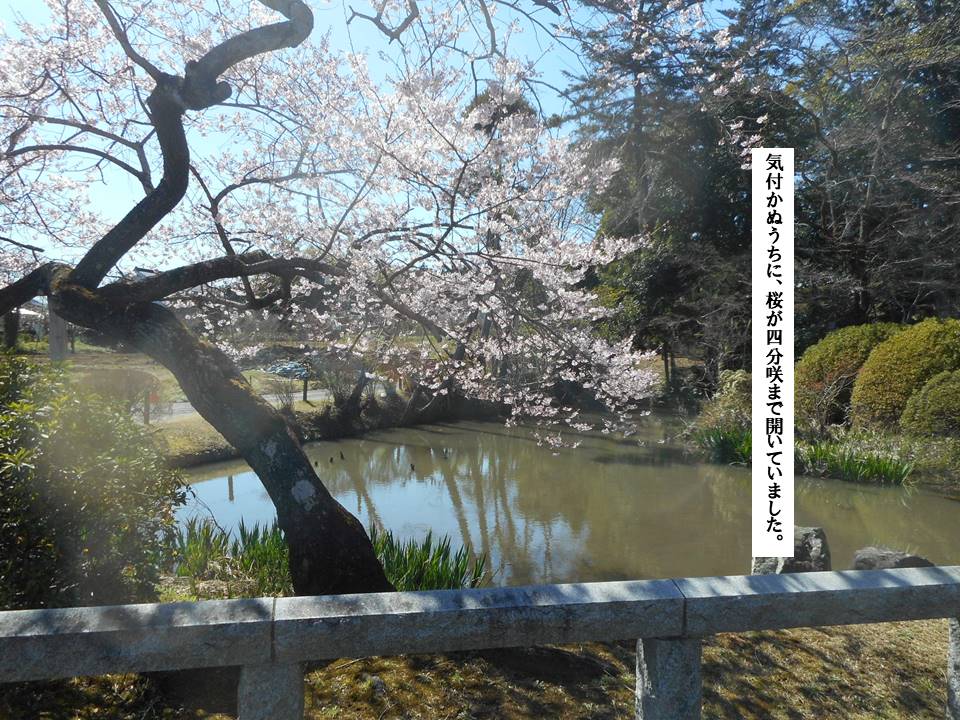 f:id:seiichiconan:20200321041308j:plain f:id:seiichiconan:20200321041308j:plain