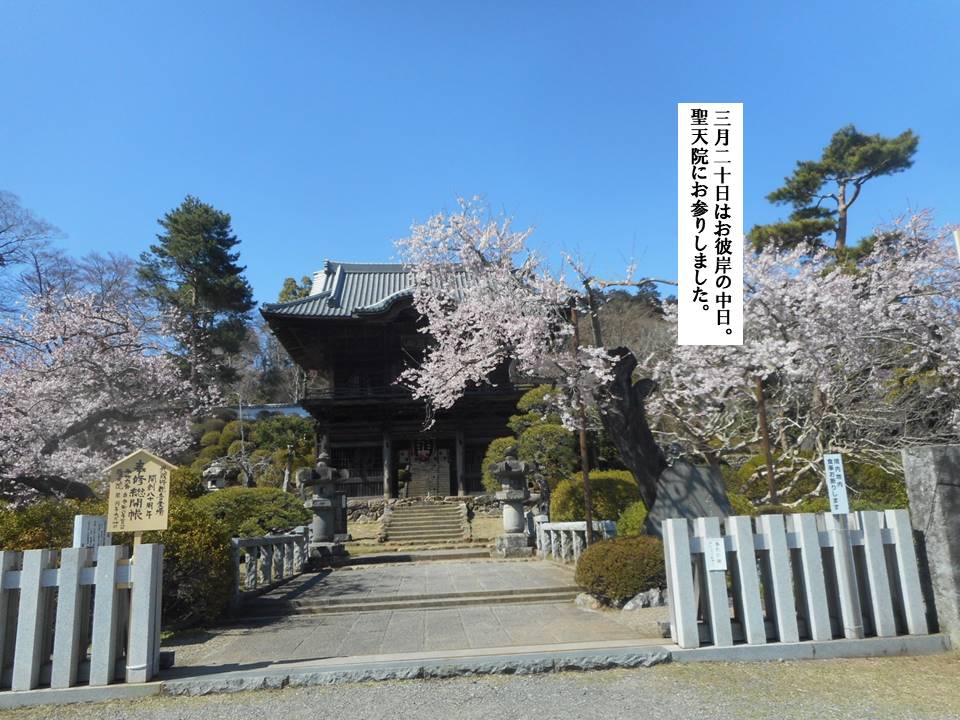 f:id:seiichiconan:20200321041320j:plain f:id:seiichiconan:20200321041320j:plain
