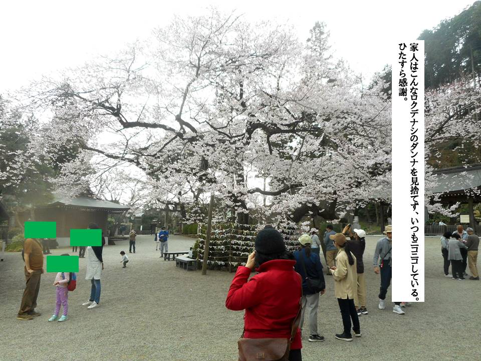 f:id:seiichiconan:20200322175528j:plain