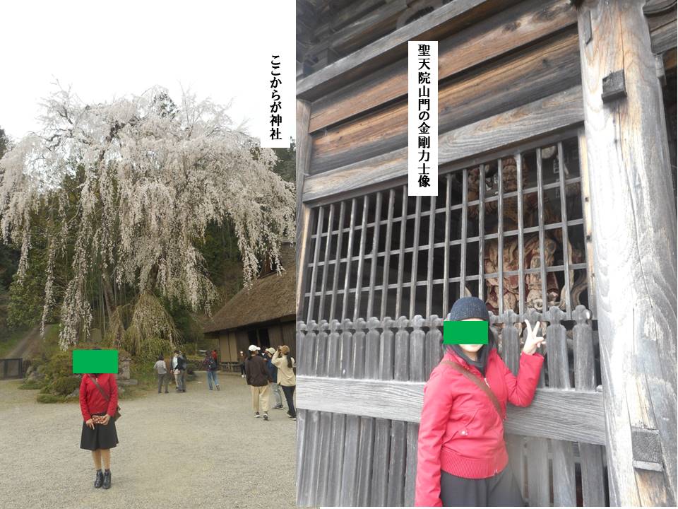 f:id:seiichiconan:20200322175543j:plain