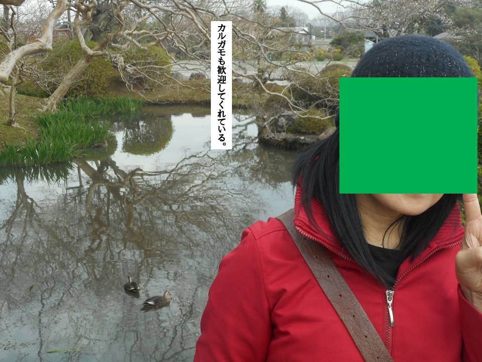 f:id:seiichiconan:20200322175553j:plain