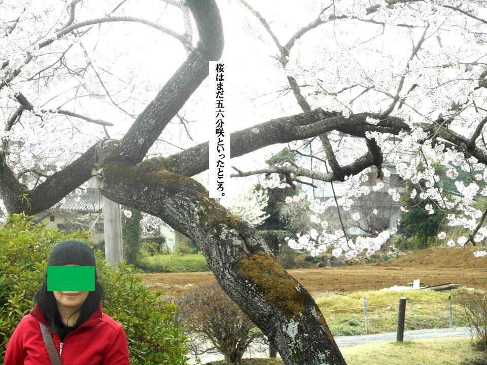 f:id:seiichiconan:20200322175607j:plain