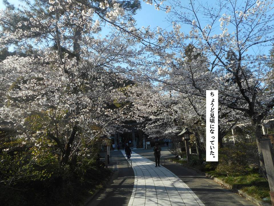 f:id:seiichiconan:20200326034620j:plain