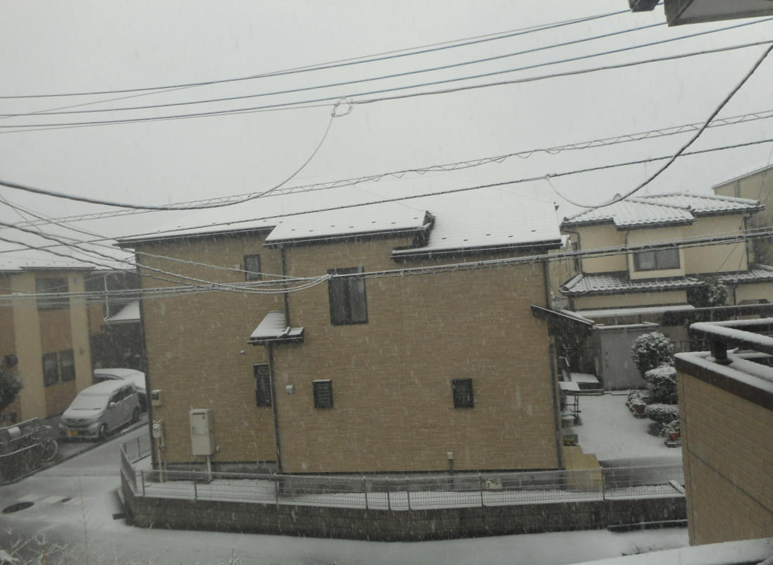 f:id:seiichiconan:20200329082652j:plain