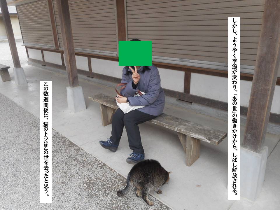 f:id:seiichiconan:20200329130308j:plain