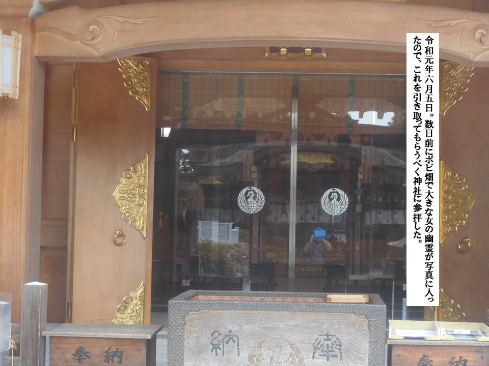 f:id:seiichiconan:20200510151322j:plain f:id:seiichiconan:20200510151322j:plain