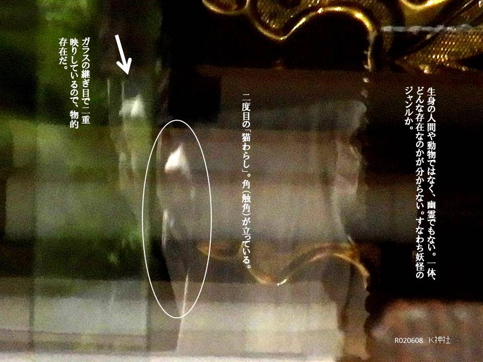 f:id:seiichiconan:20200610065518j:plain f:id:seiichiconan:20200610065518j:plain