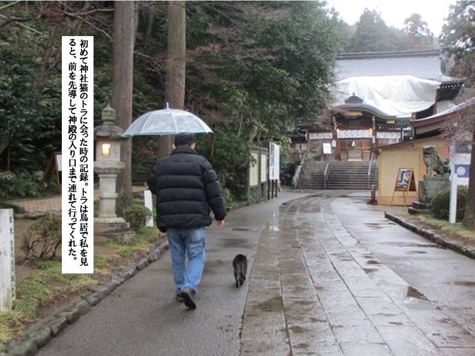 f:id:seiichiconan:20200703013538j:plain