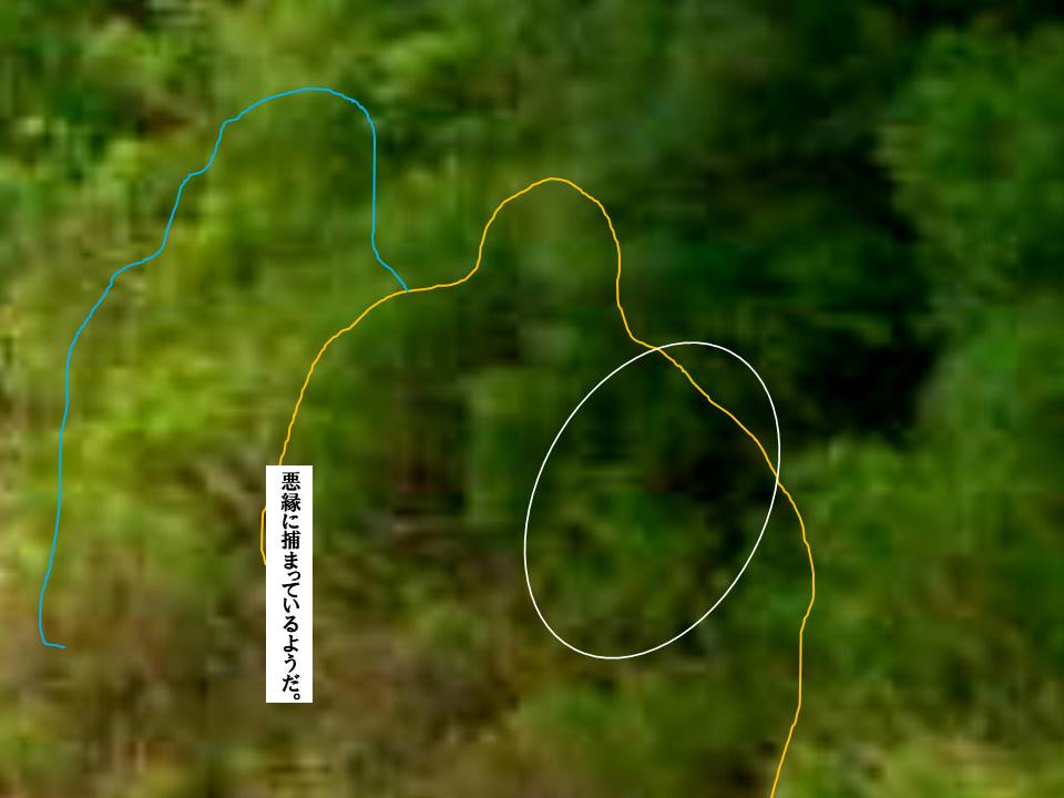 f:id:seiichiconan:20200715052044j:plain